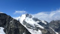 ..der Biancograt..von der rechten Scharte bis auf den Gipfel des Piz Bernina..